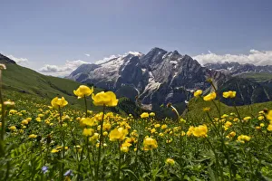 Images Dated 18th August 2021: Italia, Italy. Trentino-Alto Adige. Alpi, Dolomiti, Sellaronda. Trento district, Trentino