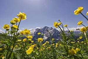 Images Dated 18th August 2021: Italia, Italy. Trentino-Alto Adige. Alpi, Dolomiti, Sellaronda. Trento district, Trentino