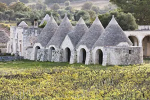 Images Dated 11th January 2019: Italy, Apulia (Puglia), Bari district, Itria Valley, traditional trulli surrounded