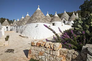 Images Dated 11th January 2019: Italy, Apulia (Puglia), Bari district, Itria Valley, traditional trulli at Borgo Canonica