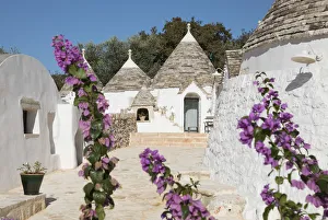 Images Dated 11th January 2019: Italy, Apulia (Puglia), Bari district, Itria Valley, Cisternino, traditional trulli