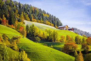 Images Dated 10th November 2015: Italy, autumn scenic outdoor, foliage and green hills with snowy trees, Val di Funes