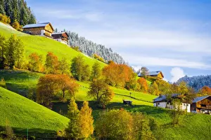 Odle Prints: Italy, autumn scenic outdoor, foliage and green hills with snowy trees, Val di Funes