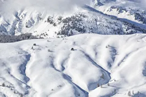 Belluno District Prints: Italy, Cortina d Ampezzo, Passo Giau