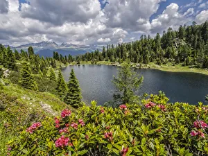 Overcast Prints: Italy, Dolomites, Rolle Pass, Colbricon lake