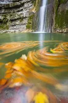 Italy, Emilia Romagna, Parco Nazionale delle Foreste Casentinesi-Monte Falterona-Campigna