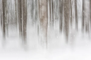 Images Dated 2013 January: 
