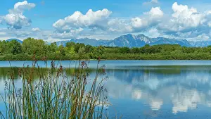 Friuli Prints: Italy, Friuli Venezia Giulia. Lago di Ragogna near to San Daniele dei Friuli