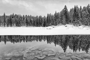 Udine District Prints: Italy, Friuli Venezia Giulia, Lake Fusine