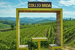 Images Dated 13th December 2022: Italy, Friuli Venezia Giulia. the typical landscape of the Collio with its vineyards