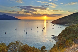 Italy, Italia. Tuscany, Toscana Livorno district. Tuscan Archipelago National Park Italy, Italia. Tuscany, Toscana Livorno district. Tuscan Archipelago National Park