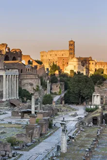Italy, Latium, Lazio. Rome, Roma. The Roman Forum