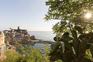 Images Dated 21st June 2017: Italy. Liguria. Parco Nazionale delle Cinque Terre. La Spezia district Cinque Terre