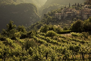 Italy, Lombardy, Lake District, Lake Garda, Tremosine Plateau, Sermerio, vineyards