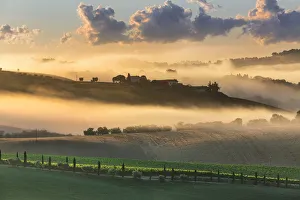 Italy, Marche. Macerata district. Urbisglia. Typical Marche landscape near Urbisaglia