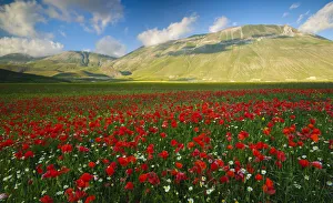 Italy, Marche, Sibillini National Park, plain of Castelluccio di Norcia