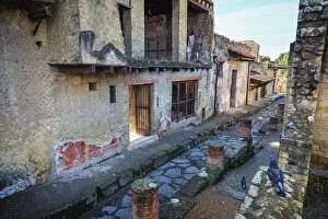 Images Dated 27th November 2012: Italy, Naples, Herculaneum, Roman Ruins (UNESCO site)