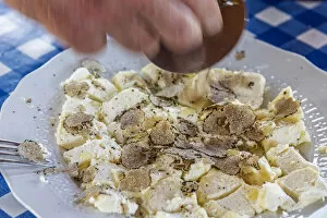 Images Dated 27th July 2017: italy, Piedmont, black summer truffles over fresh cheese