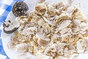 italy, Piedmont, black summer truffles over fresh cheese