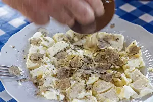 Speciality Prints: italy, Piedmont, black summer truffles over fresh cheese