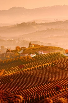 Piedmont Prints: Italy, Piedmont, Cuneo District, Langhe - Autumnal Sunrise