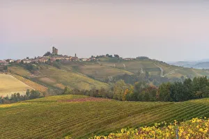 Barolo Prints: Italy, Piedmont, Cuneo District, Barolo, Langhe Barolo at sunrise
