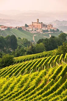 Piedmont Prints: Italy, Piedmont, Cuneo district, Langhe, Castiglione Falletto, the vineyards
