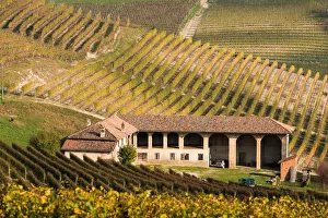 Images Dated 19th May 2016: Italy, Piedmont, Cuneo district, Langhe, Barolo