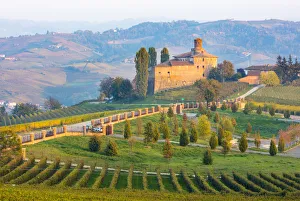 Images Dated 11th January 2019: Italy, Piedmont (Piemonte), Colline del Barolo, Cuneo district, Langhe, Barolo, Castello