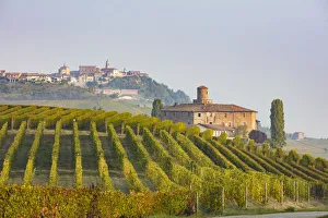 Images Dated 11th January 2019: Italy, Piedmont (Piemonte), Colline del Barolo, Cuneo district, Langhe, Barolo, Castello