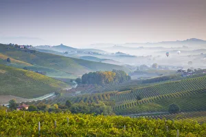 Images Dated 11th January 2019: Italy, Piedmont (Piemonte), Cuneo District, Langhe, hot air balloons fly over valley