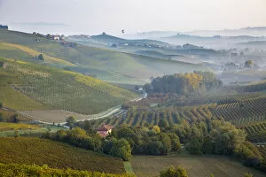 Italy, Piedmont (Piemonte), Cuneo District, Langhe, hot air balloons fly over valley