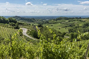 Images Dated 27th July 2017: Italy, Piedmont, view through the vineyards towards Castelnuovo Don Bosco