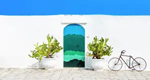 Apulia Prints: Italy, Puglia, Ostuni, Foggia district, Door and cacti