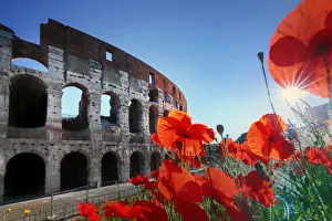 Italy, Rome, Colosseum and Roman Forum at sunrise with red poppies in the foreground