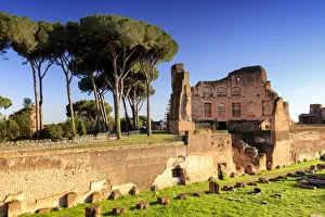 Italy, Rome, Hippodrome of Domitian at Palatine forum