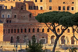 Italy, Rome, Traian forum along Fori Imperial street, with Santa Maria di Loreto church