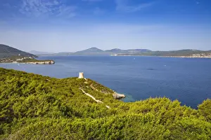Italy, Sardinia, Alghero, Porto Conte National Park, Capo Caccia