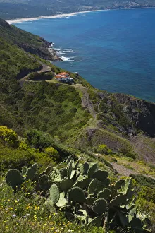Nebida Prints: Italy, Sardinia, Southwest Sardinia, Nebida, coastline by Scoglio Pan di Zucchero islet
