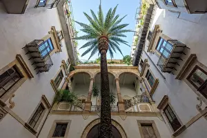 Palermo Prints: Italy, Sicily, Palermo, a courtyard with a palm tree in Central Palermo