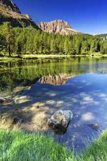 Images Dated 26th June 2017: Italy, Trentino-Alto Adige, Alps, Trento district, Val di Fassa, Passo San Pellegrino