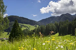 Italy, Trentino-Alto Adige Alps, Dolomites Bolzano district Fanes Sennes Braies Natural