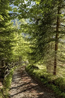Italy, Trentino-Alto Adige Alps, Dolomites, Trento district, Val di Fassa