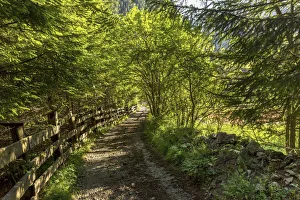 Italy, Trentino-Alto Adige, Alps, Dolomites, Trento district, Val di Fassa