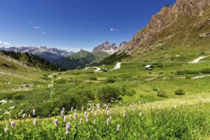 Italy, Trentino-Alto Adige, Alps, Dolomites, Trento district, Val di Fassa