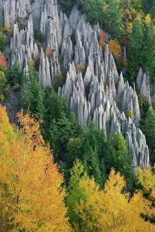 Earth Pyramids Prints: Italy, Trentino-Alto Adige, earth pyramids near Ritten village