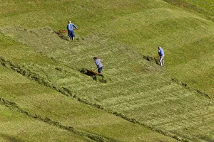 Italy, Trentino-Alto Adige, South Tyrol, Bolzano district, Alpe di Siusi, Seiser Alm