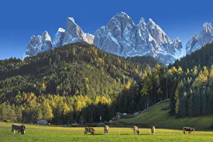 Italy, Trentino Alto Adige, South Tyrol Region, Val di Funes and Santa Magdalena town