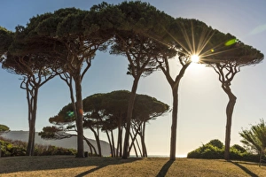 Italy, Tuscany, the beach at Golfo di Baratti at sunset