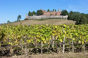 Italy, Tuscany, Chianti landscape, Brolio castle, vineyard